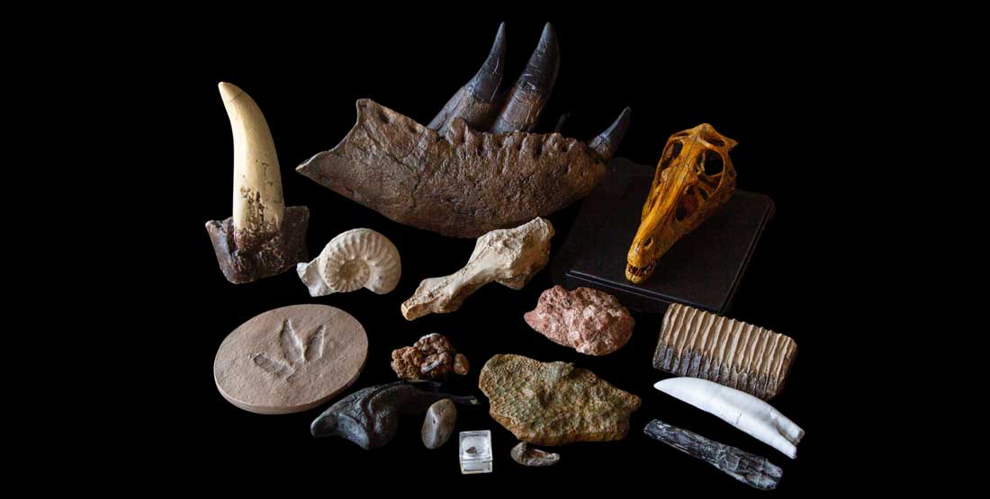 Age of Dinosaurs Burke Box