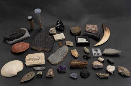 DIG Field School Resources detail of contents of the DIG FOundations box