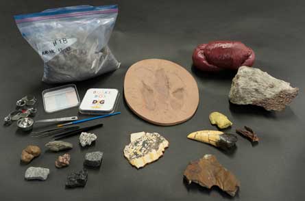 DIG Field School Resources contents of the DIG: microfossils box