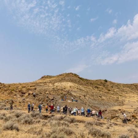 dig field school participants