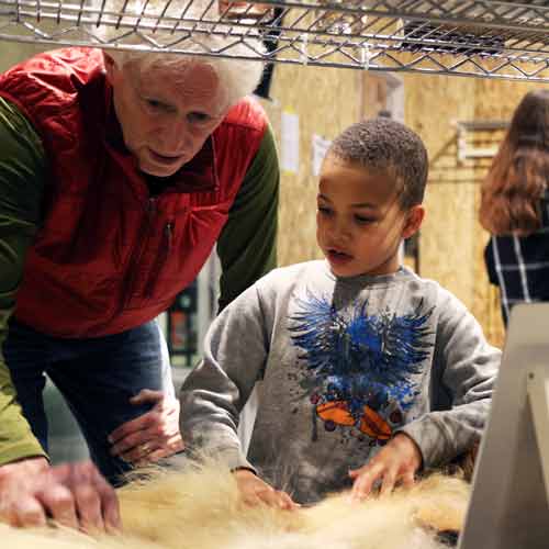 Educators & Schools visitors look at an object on a shelf