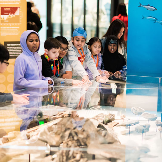 Field Trips students on a field trip look at the fossil whale on display