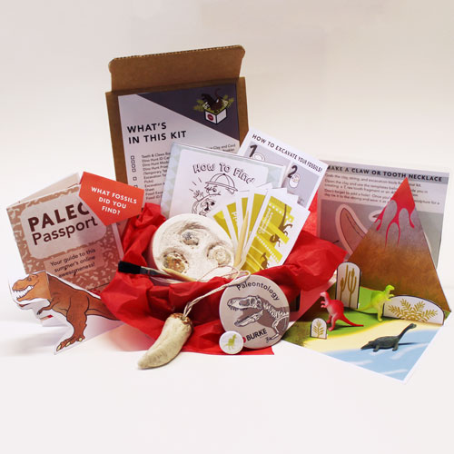 Fossil Finder Fun Pack from the Burke Museum contents of the fossil finder fun pack from the burke museum