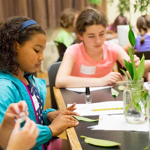 Middle School Girls in Science program at the Burke Museum participants learn about plant specimens