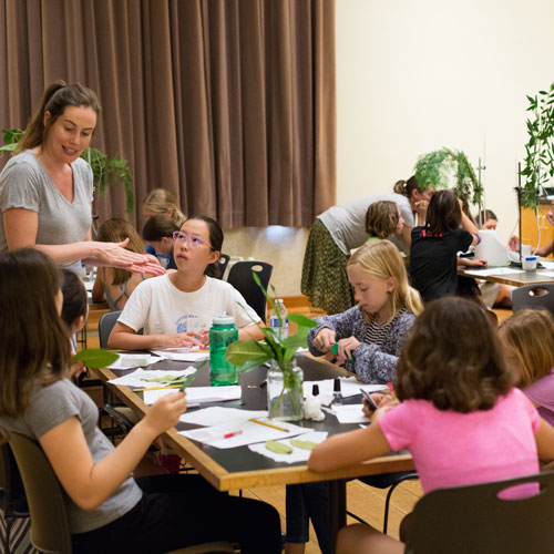 Girls in Science participants learn about plant specimens