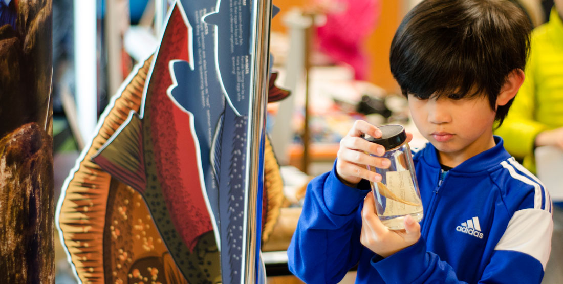 student looks at a fish specimen in a jar