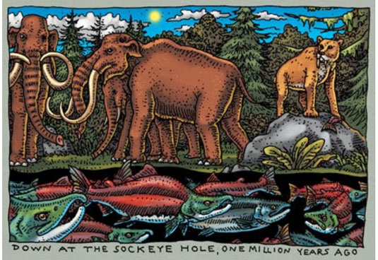 Down at the Sockeye Hole, One Million Years Ago, 2013. By Ray Troll. Pen and ink with digital color. illustration—mammoths walk above a body of water filled with salmon