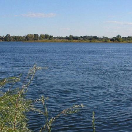 A view across a large river to see trees on the other side 